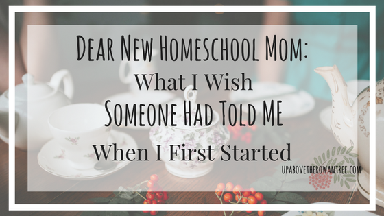 Dear New Homeschool Mom: What I Wish Someone Had Told Me When I Started