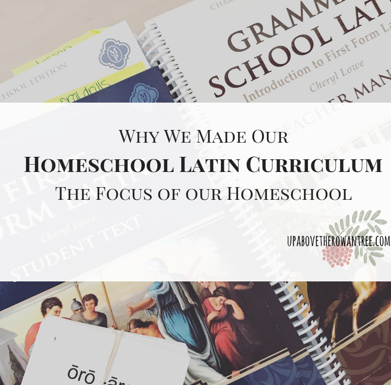 Why we made our homeschool Latin curriculum the focus of our homeschool.