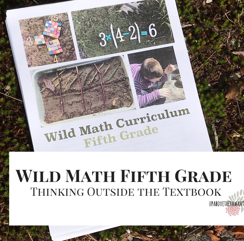 Wild Math Fifth Grade: Thinking Outside The Textbook